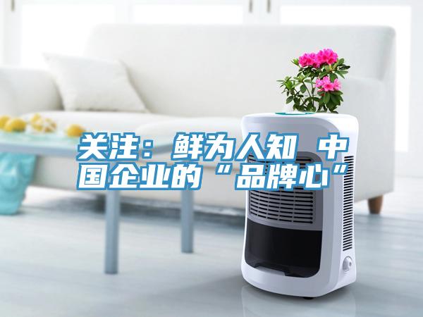關注：鮮為人知 中國企業的“品牌心”