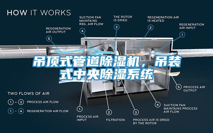 吊頂式管道91看片网站，吊裝式中央除濕係統