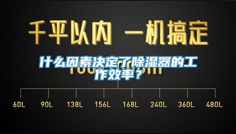 什麽因素決定了除濕器的工作效率？