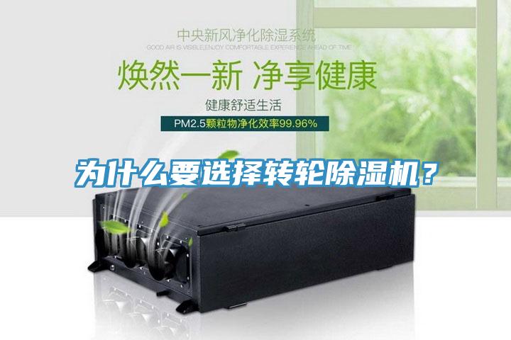 為什麽要選擇轉輪91看片网站？