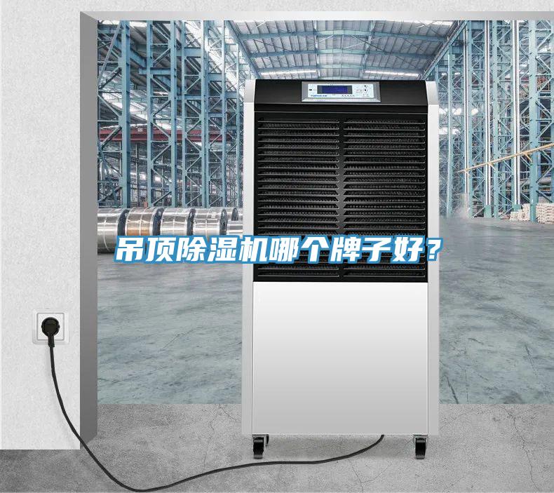 吊頂91看片网站哪個牌子好？