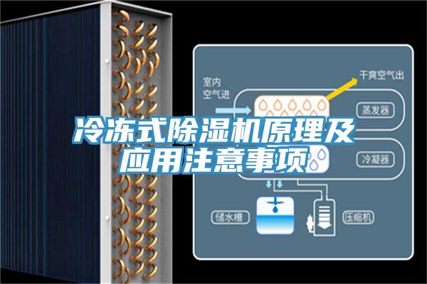 冷凍式91看片网站原理及應用注意事項