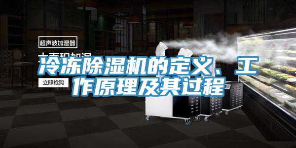 冷凍91看片网站的定義、工作原理及其過程