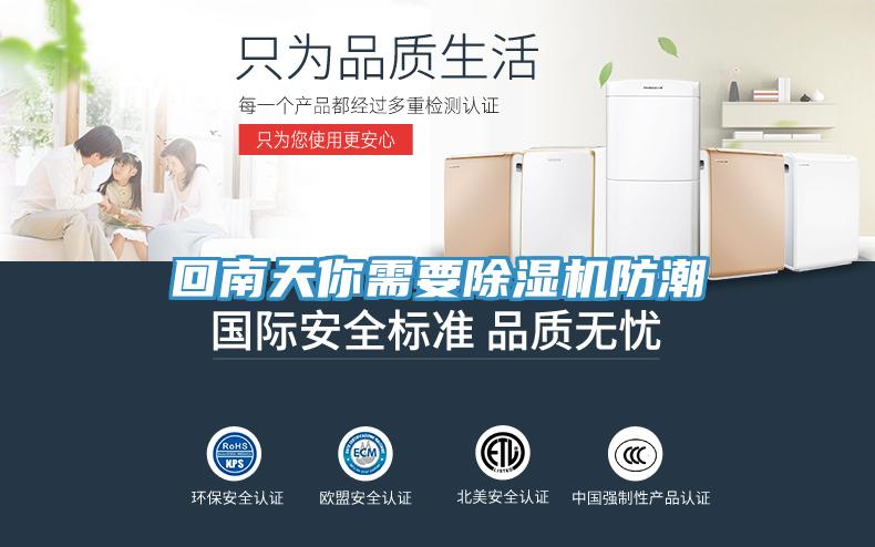 回南天你需要91看片网站防潮