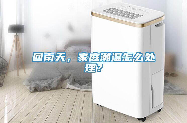 回南天，家庭潮濕怎麽處理？