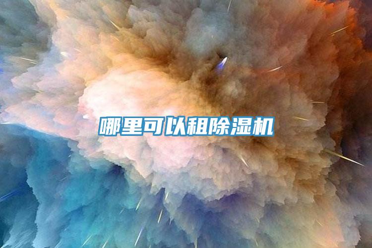 哪裏可以租91看片网站