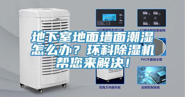 地下室地麵牆麵潮濕怎麽辦？環科91看片网站幫您來解決！