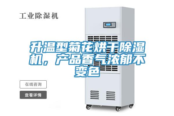 升溫型菊花烘幹91看片网站，產品香氣濃鬱不變色