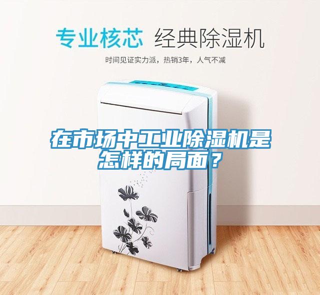 在市場中工業91看片网站是怎樣的局麵？