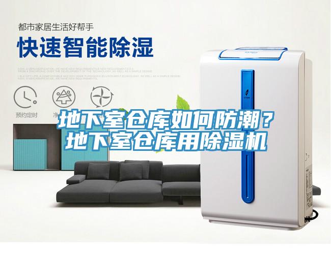地下室倉庫如何防潮？地下室倉庫用91看片网站