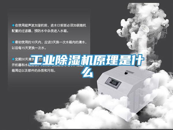 工業91看片网站原理是什麽