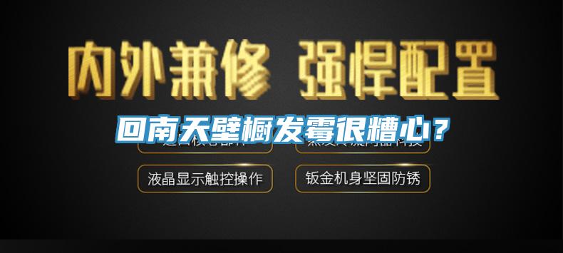回南天壁櫥發黴很糟心？