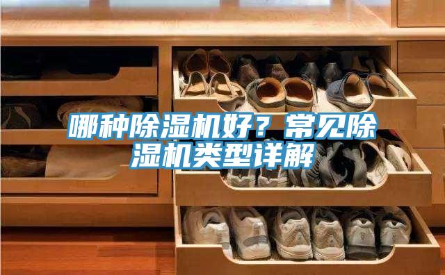 哪種91看片网站好？常見91看片网站類型詳解