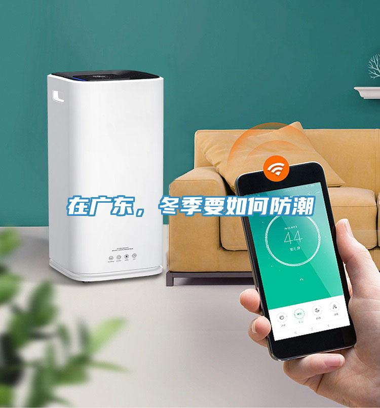 在廣東，冬季要如何防潮