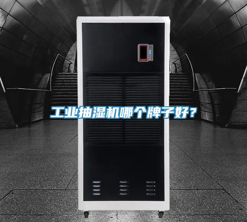 工業抽濕機哪個牌子好？