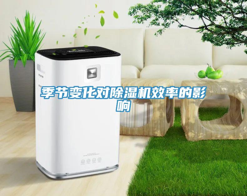 季節變化對91看片网站效率的影響