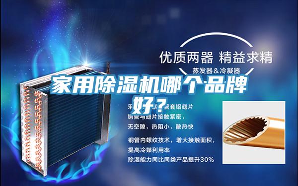 家用91看片网站哪個品牌好？