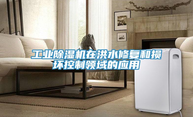 工業91看片网站在洪水修複和損壞控製領域的應用