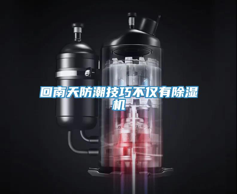 回南天防潮技巧不僅有91看片网站