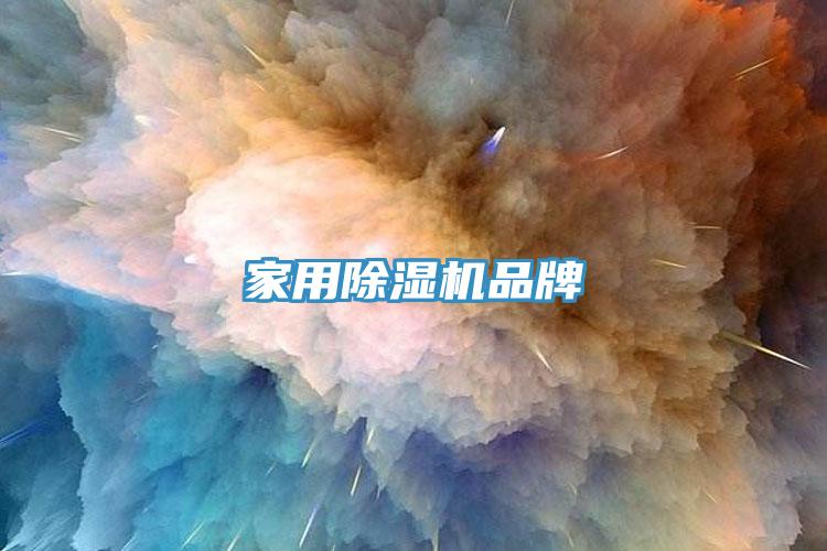 家用91看片网站品牌