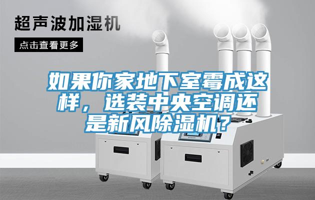 如果你家地下室黴成這樣，選裝中央空調還是新風91看片网站？