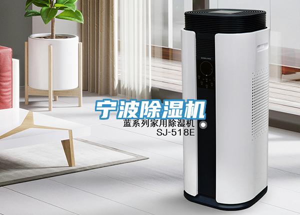 寧波91看片网站