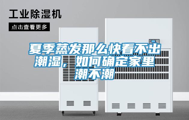 夏季蒸發那麽快看不出潮濕，如何確定家裏潮不潮