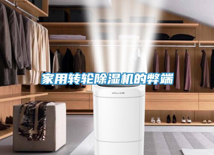 家用轉輪91看片网站的弊端