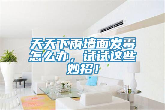 天天下雨牆麵發黴怎麽辦，試試這些妙招！
