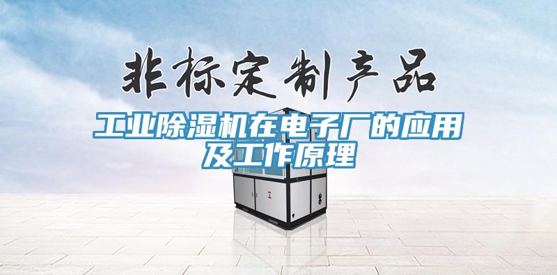 工業91看片网站在電子廠的應用及工作原理