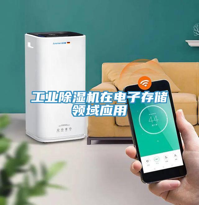 工業91看片网站在電子存儲領域應用