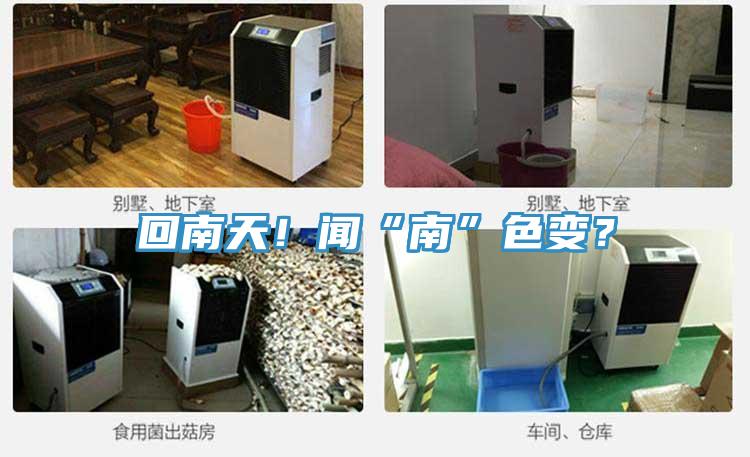 回南天！聞“南”色變？