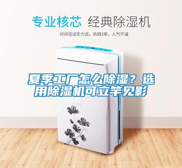 夏季工廠怎麽除濕？選用91看片网站可立竿見影