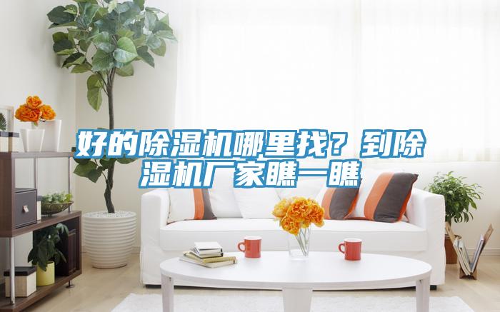 好的91看片网站哪裏找？到91看片网站廠家瞧一瞧