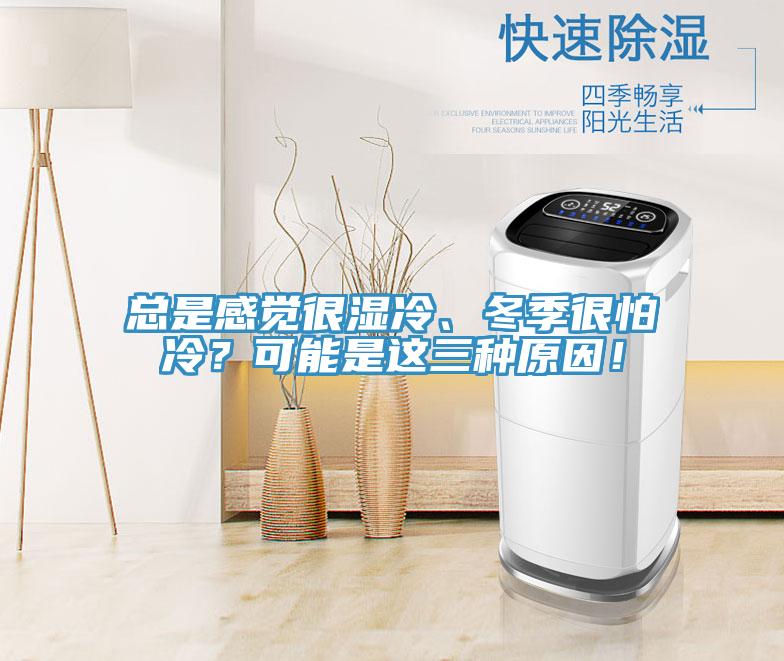 總是感覺很濕冷、冬季很怕冷？可能是這三種原因！