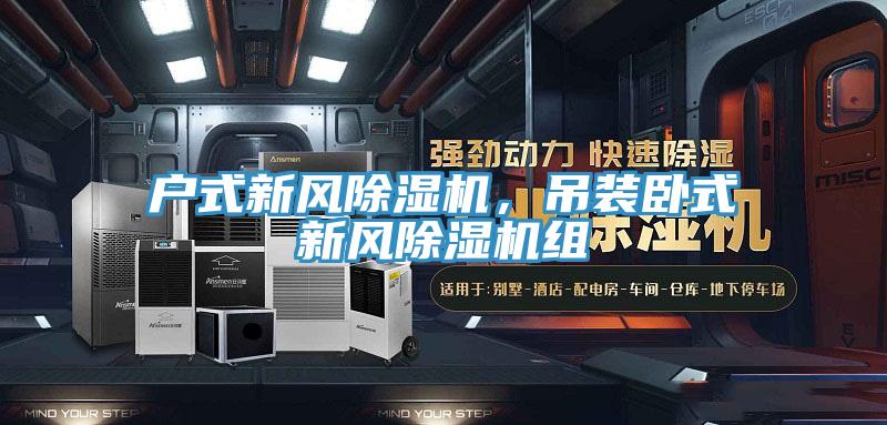 戶式新風91看片网站，吊裝臥式新風91看片网站組