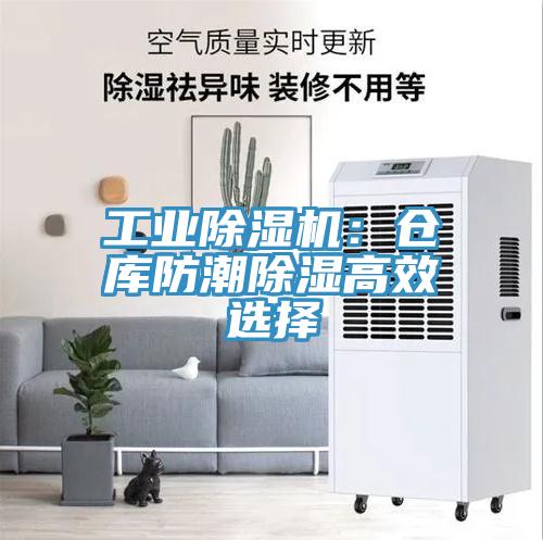 工業91看片网站：倉庫防潮除濕高效選擇