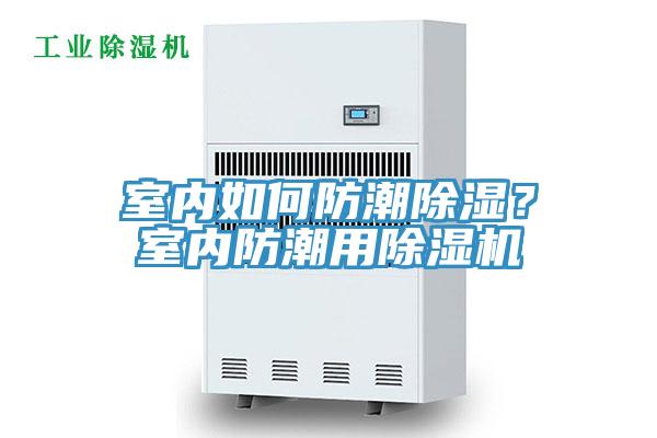 室內如何防潮除濕？室內防潮用91看片网站