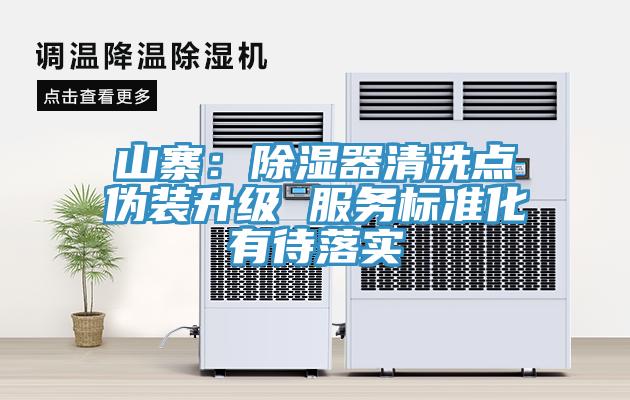 山寨：除濕器清洗點偽裝升級 服務標準化有待落實