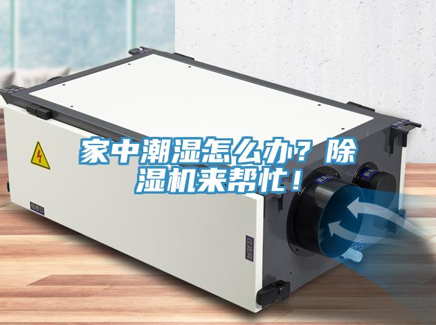 家中潮濕怎麽辦？91看片网站來幫忙！
