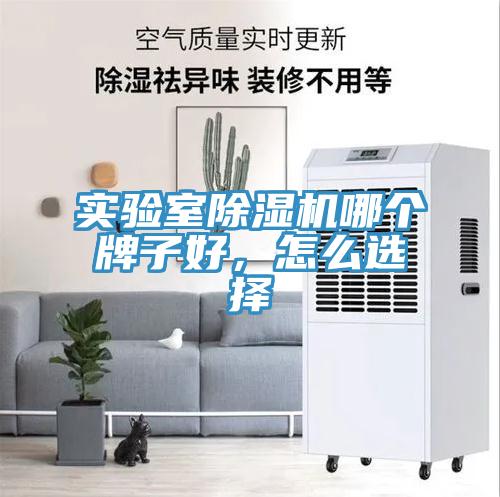 實驗室91看片网站哪個牌子好，怎麽選擇