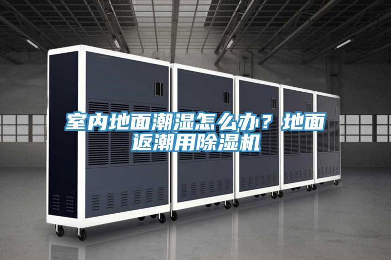 室內地麵潮濕怎麽辦？地麵返潮用91看片网站