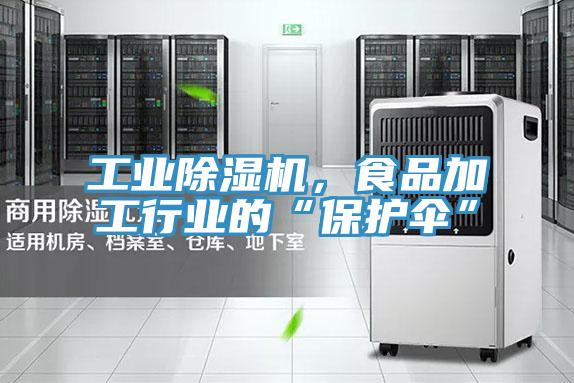 工業91看片网站，食品加工行業的“保護傘”
