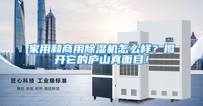 家用和商用91看片网站怎麽樣？揭開它的廬山真麵目！