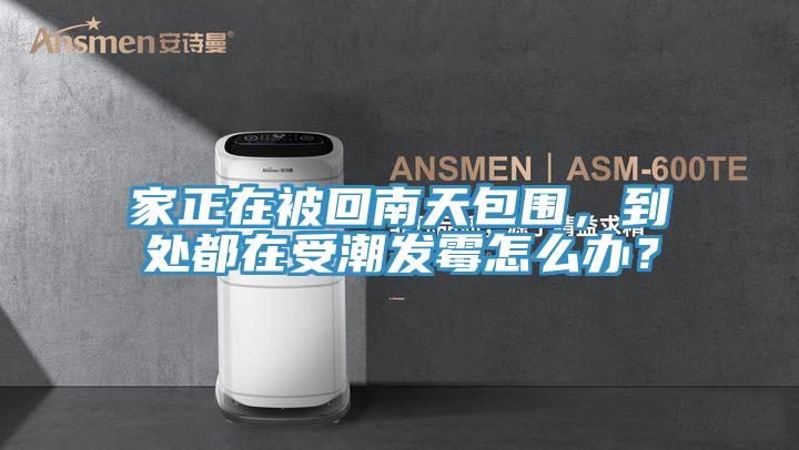 家正在被回南天包圍，到處都在受潮發黴怎麽辦？