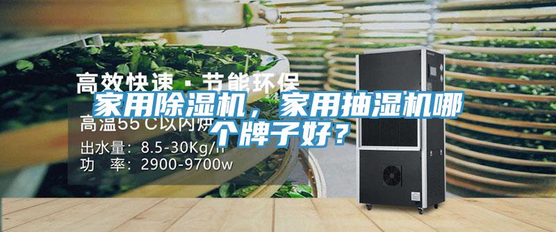 家用91看片网站，家用抽濕機哪個牌子好？