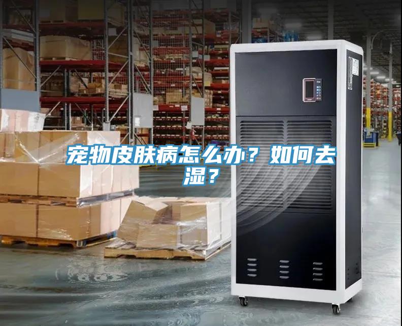 寵物皮膚病怎麽辦？如何去濕？