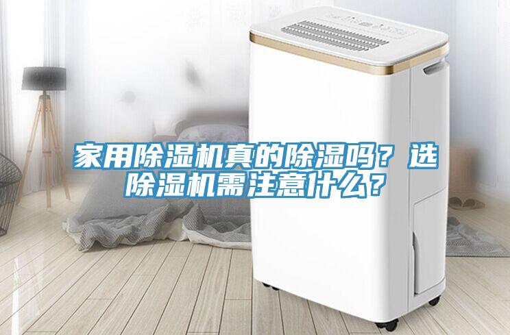家用91看片网站真的除濕嗎？選91看片网站需注意什麽？