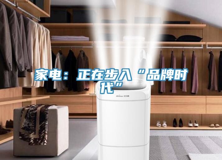 家電：正在步入“品牌時代”