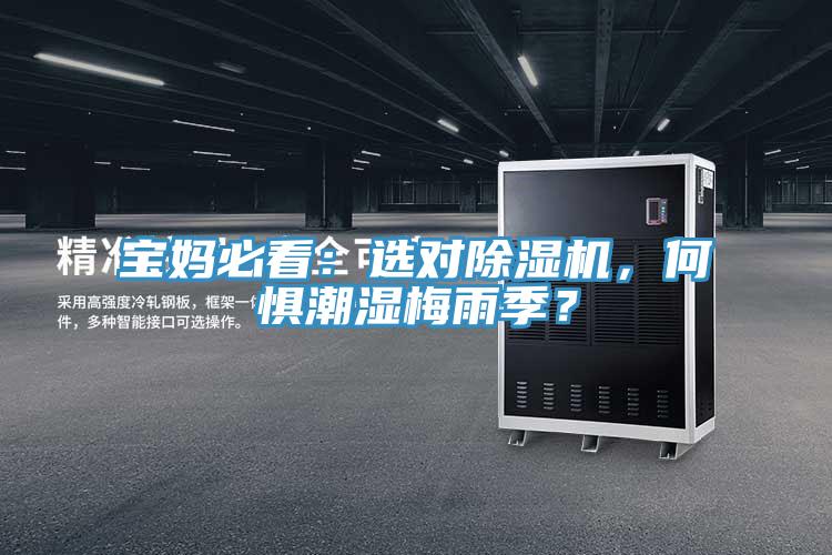 寶媽必看：選對91看片网站，何懼潮濕梅雨季？